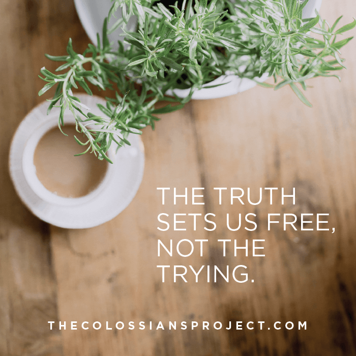 The truth sets us free, not the trying. thecolossiansproject.com